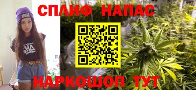 Альфа ПВП Малгобек