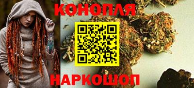 Альфа ПВП Малгобек