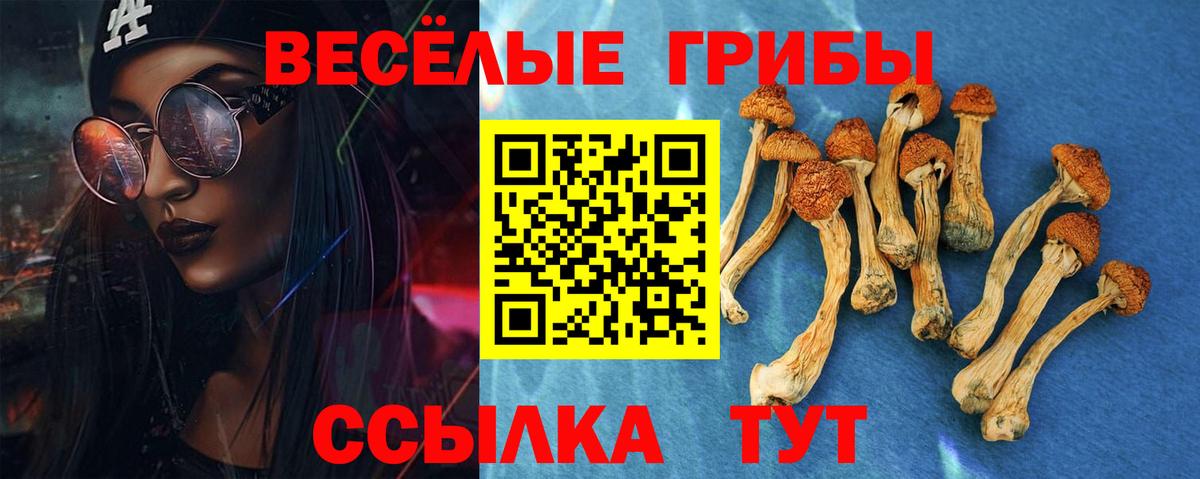 Псилоцибиновые грибы Magic Shrooms Тамбов