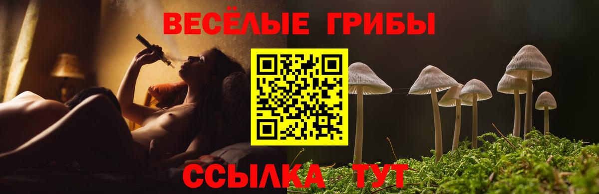 Псилоцибиновые грибы мухоморы  Вход с VPN  Тамбов 