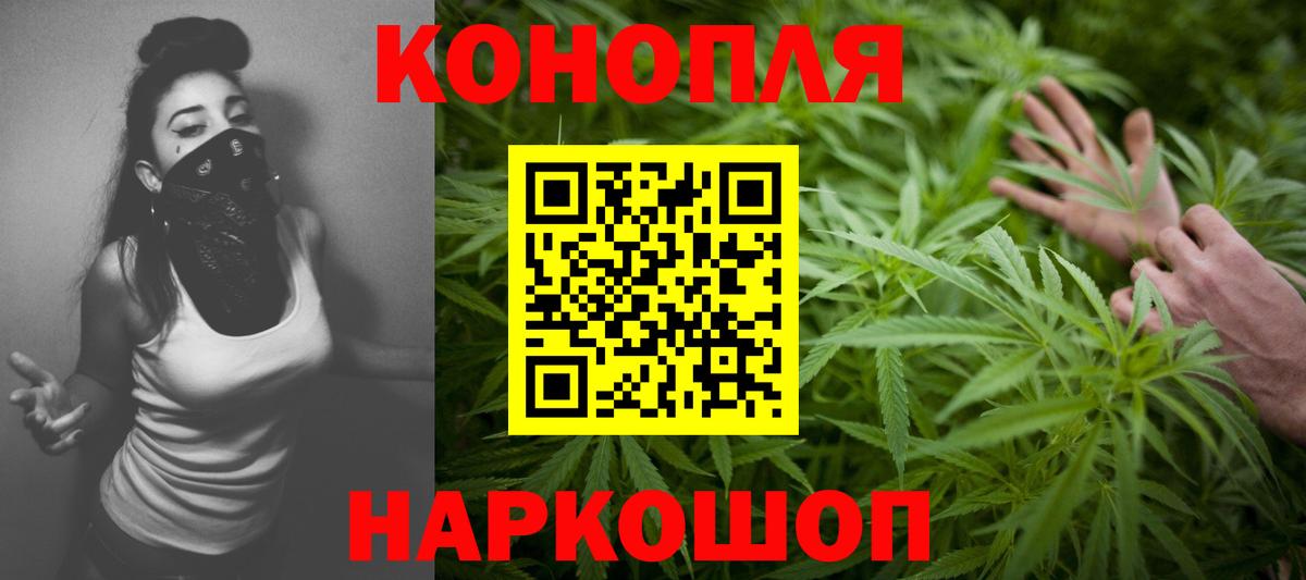 Канабис конопля  Конопля семена  Бошки марихуана план  Тамбов  МАРИХУАНА индика  Вход с VPN 